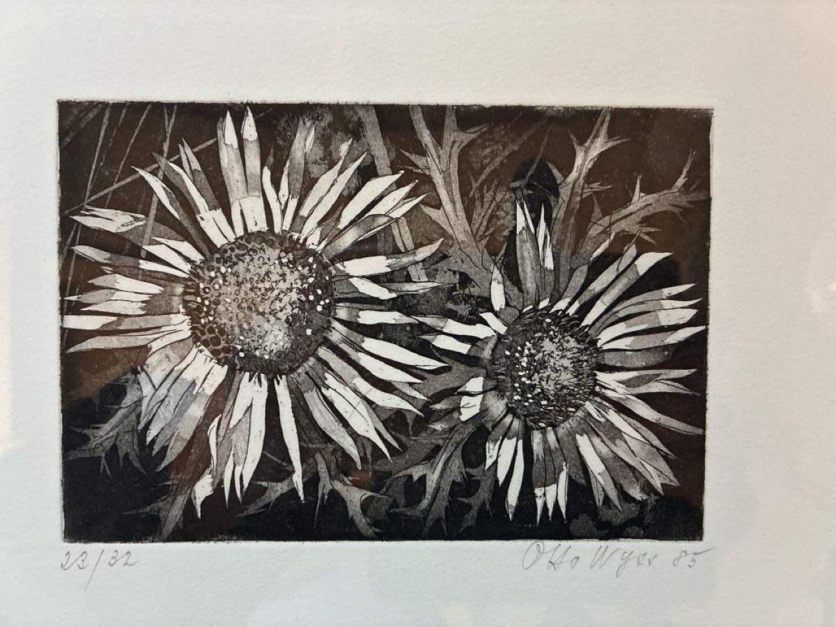 Grafica & Litografie: Lithographie Otto Wyss – Usato da Faulensee venduto da Cinclus 1