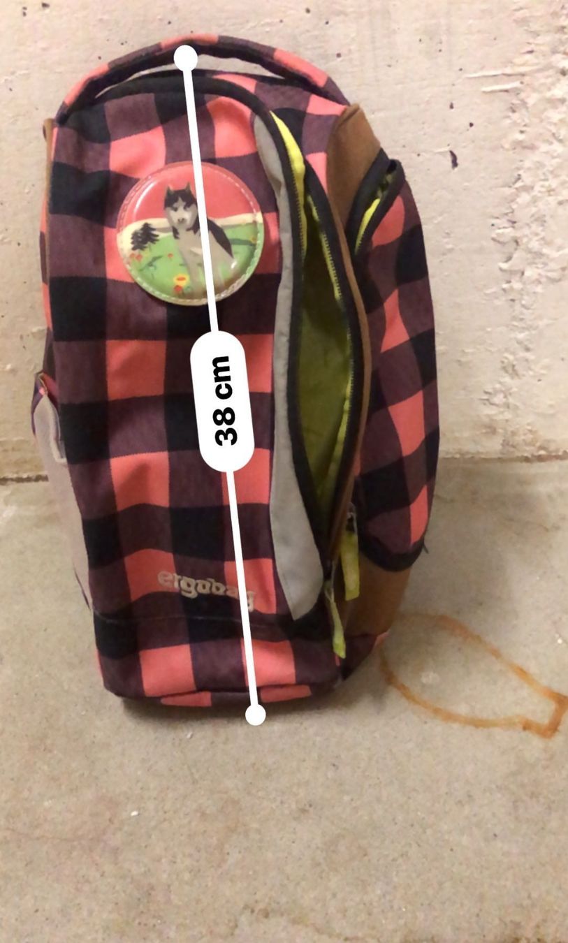 Sacs & sacs à dos: Rucksack ergobag – D'occasion à Küssnacht am Rigi par ciucchino 1