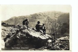 Sur l'Alpe Champéry 1934 , Chevrier, Ziegenhirt