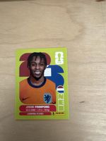 Panini FIFA World Cup WM 2026 / NED 8