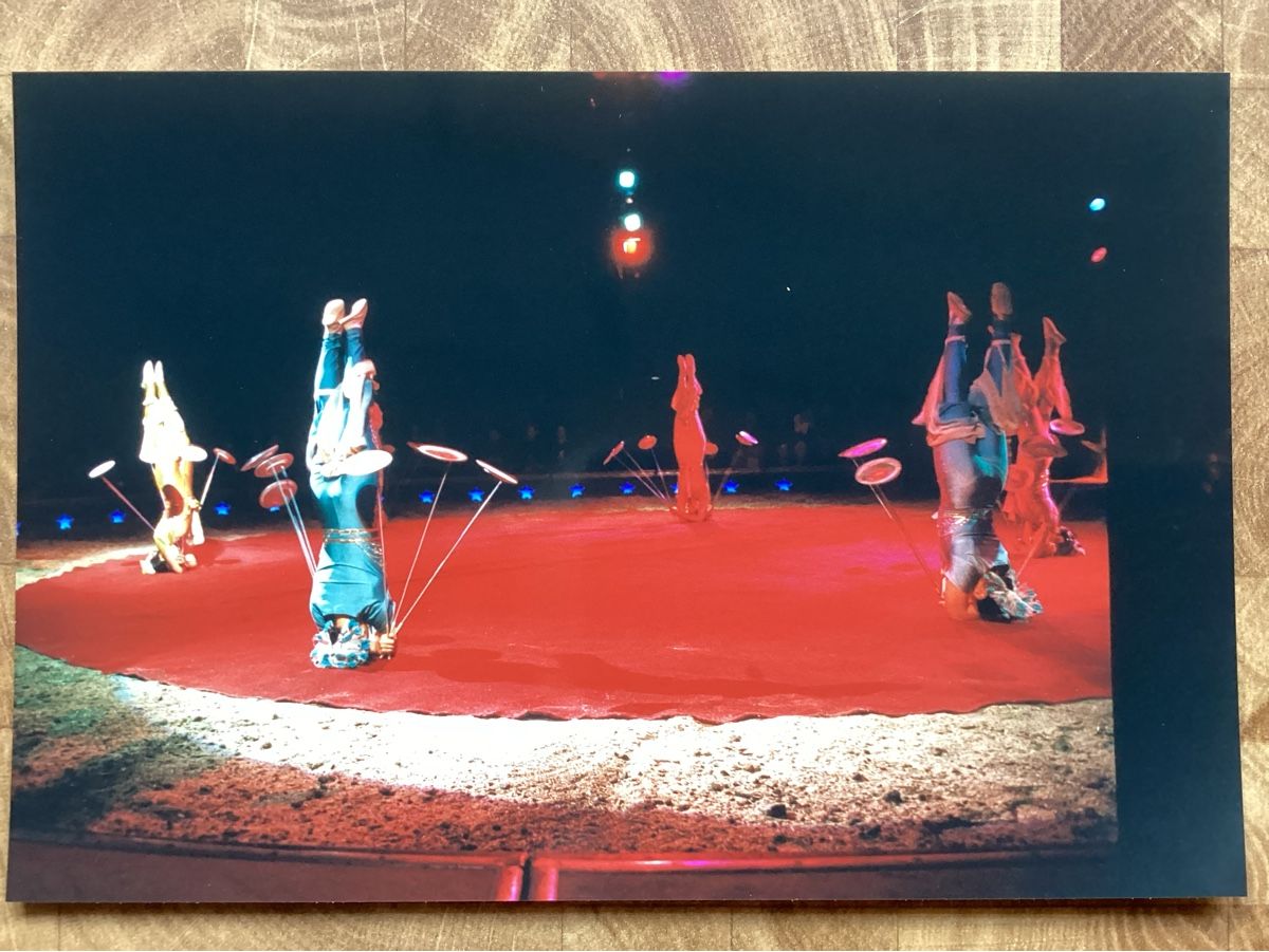 Foto & Immagini: Circus Knie Foto 1999 – Usato da Reichenbach i. K. venduto da astra2010
