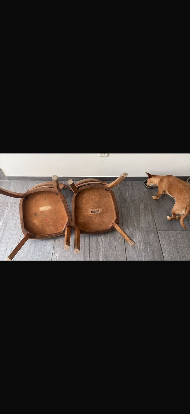 Sedie: Chaise horgen glarus – Usato da Neuchâtel venduto da luc_8c68 1