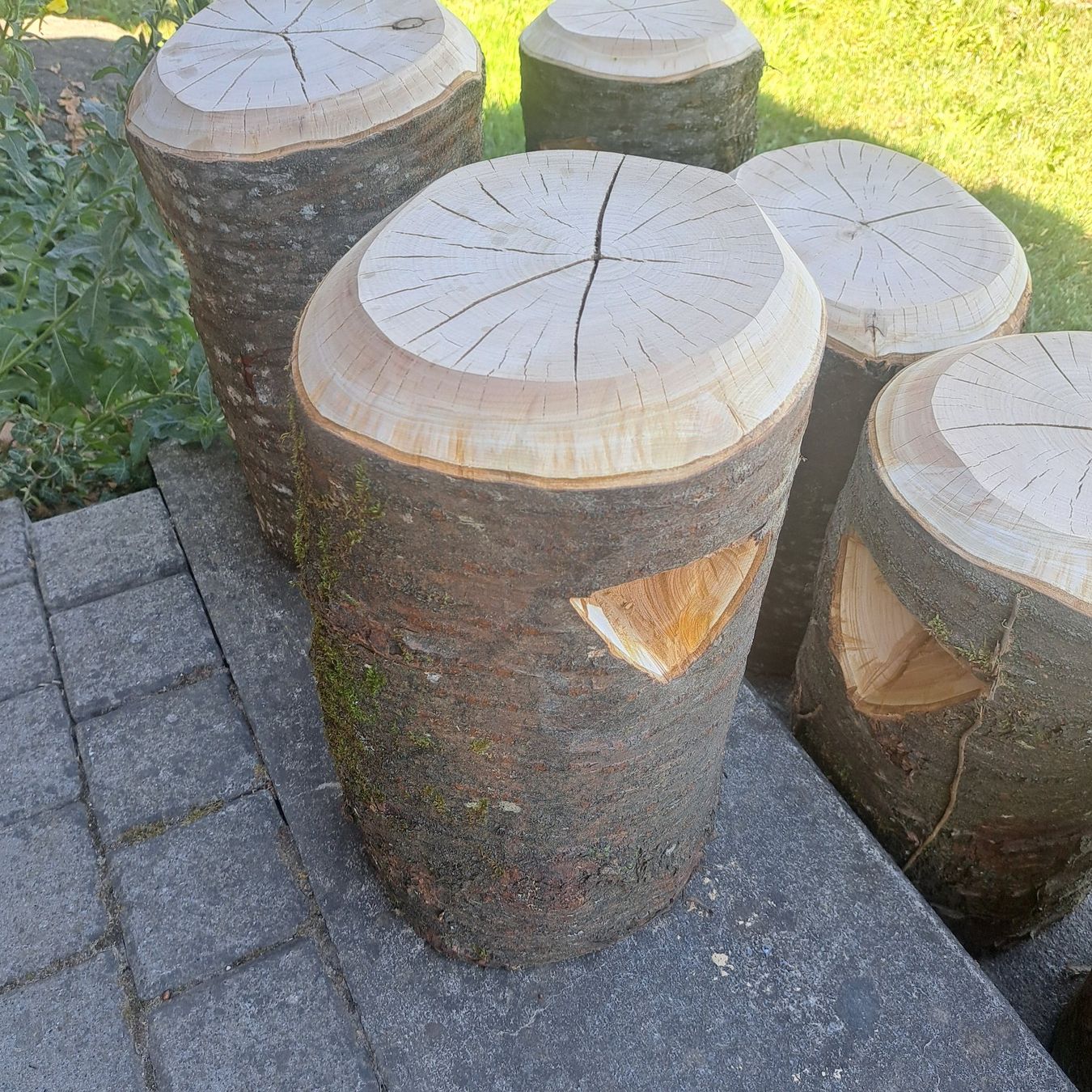 Tabourets: rundholz hocker kirschbaum – Neuf (Voir description) à Benzenschwil par 007tinu 1