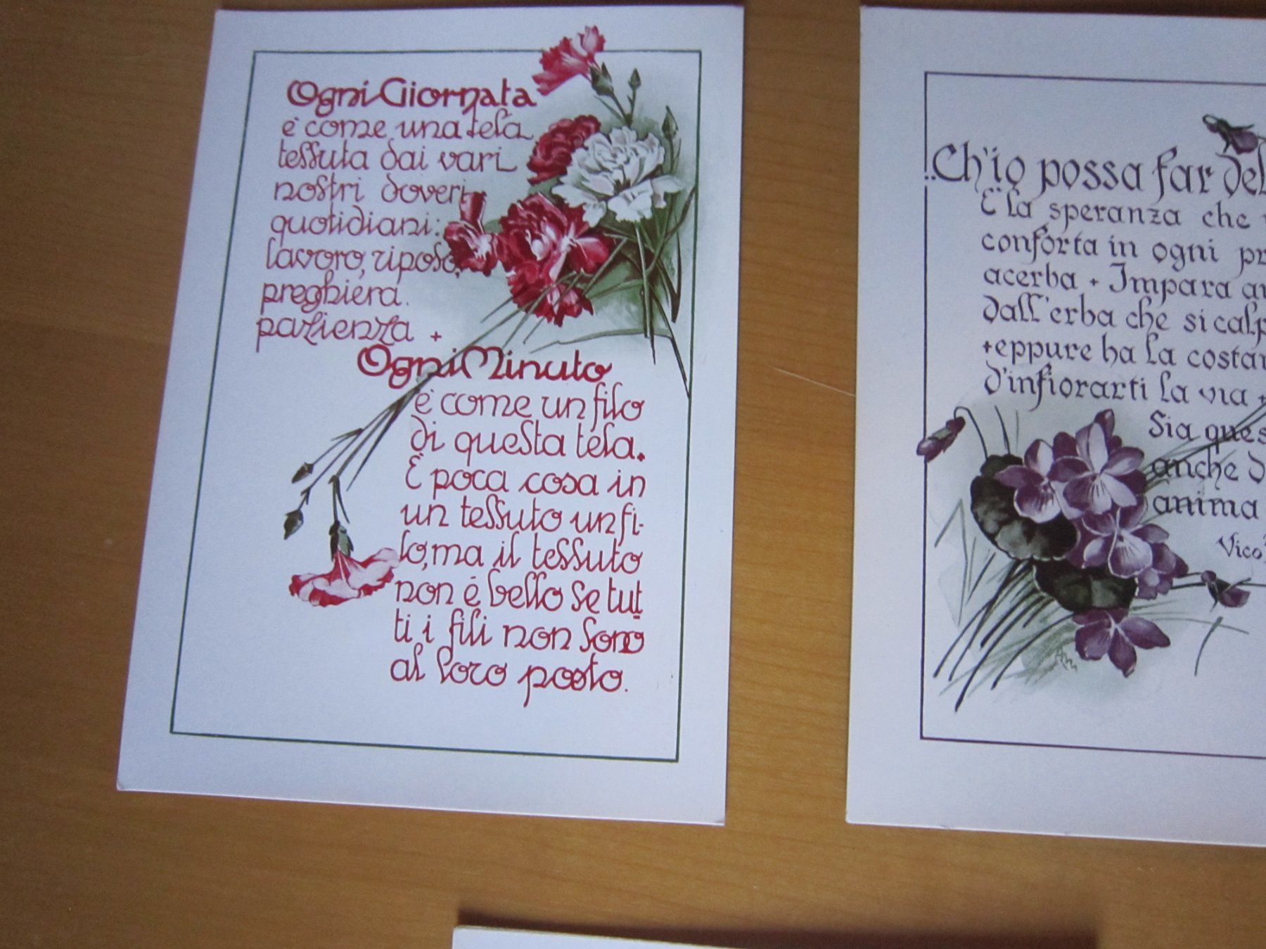 Cartes postales: No 10 Postkarten piccole cose preziose BLUMEN – D'occasion à Gordola par Polentaefung 5