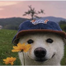 Profile image of and_z79d