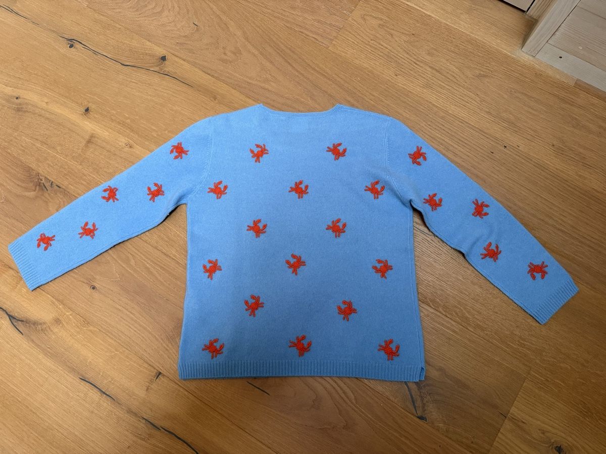 Pulls & Sweat-shirts: Donna Lane Kaschmir Pullover, Grösse S – Neuf (Voir description) à Lungern par Blauhausfrau 4