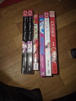 Div. Mangas