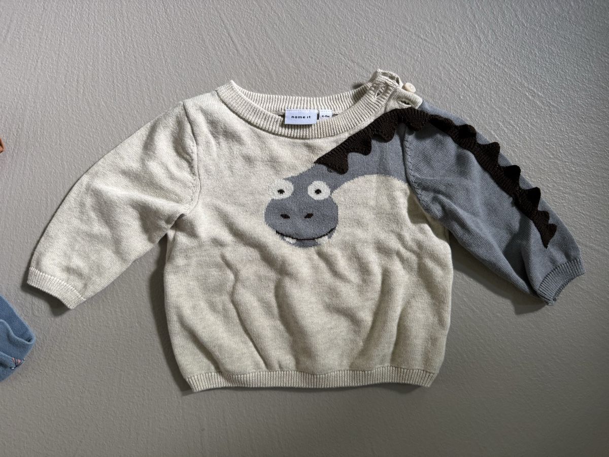 Name It Pulls et sweat-shirts: Pullover Gr. 68 – D'occasion à Kilchberg ZH par ann_f79h