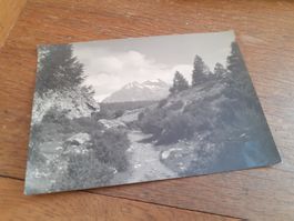 WALLISER BERGWELT - ZENEGGEN - VISP - 1950