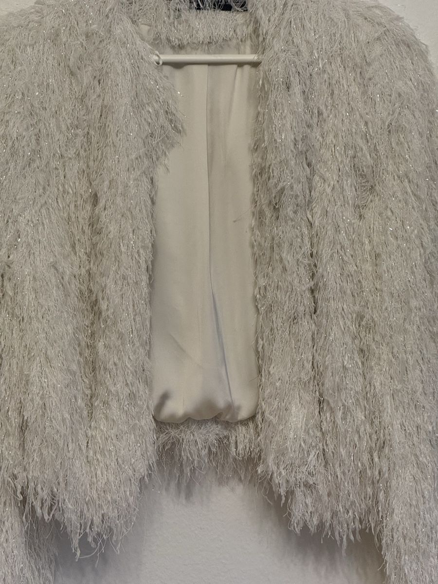Zara Jacken: ZARA – Shimmering Feather-Effect Cropped Jacket – Neu (gemäss Beschreibung) aus Zürich von liu_5dzz 1