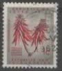 SUID-AFRIKA : ROTE PFLANZEN  ( (15
