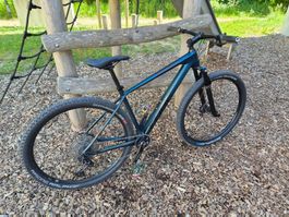 Cube Reaction C:62 Race Hardtail 19/L