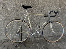 Tigra Rennvelo