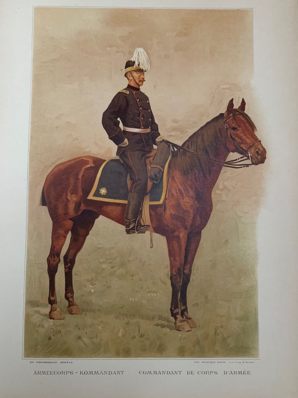 Libri: Bildband L' Armée Suisse 1894 – Usato da Volketswil venduto da zwitsch33 1