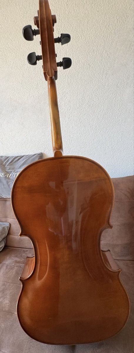 Strumenti musicali: Cello – Usato da Grüningen venduto da diking06 2