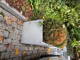 ZU VERKAUFEN – Grosse quadratische Pflanzkübel 50 × 50 × 50