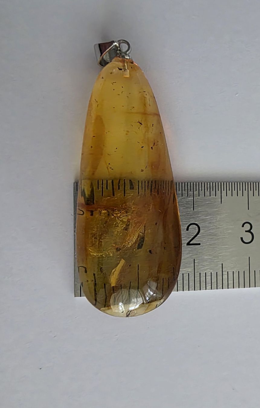Rimorchi: Bernstein-Anhänger ca. 5x1,7cm. – Nuovo e nell'imballaggio originale da Menziken venduto da Mirager 4