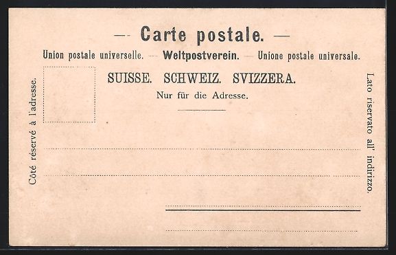 Cartoline postali: Schaffhausen, Uferpartie mit Schloss, We – Usato da Berlin venduto da bartko-reher 1