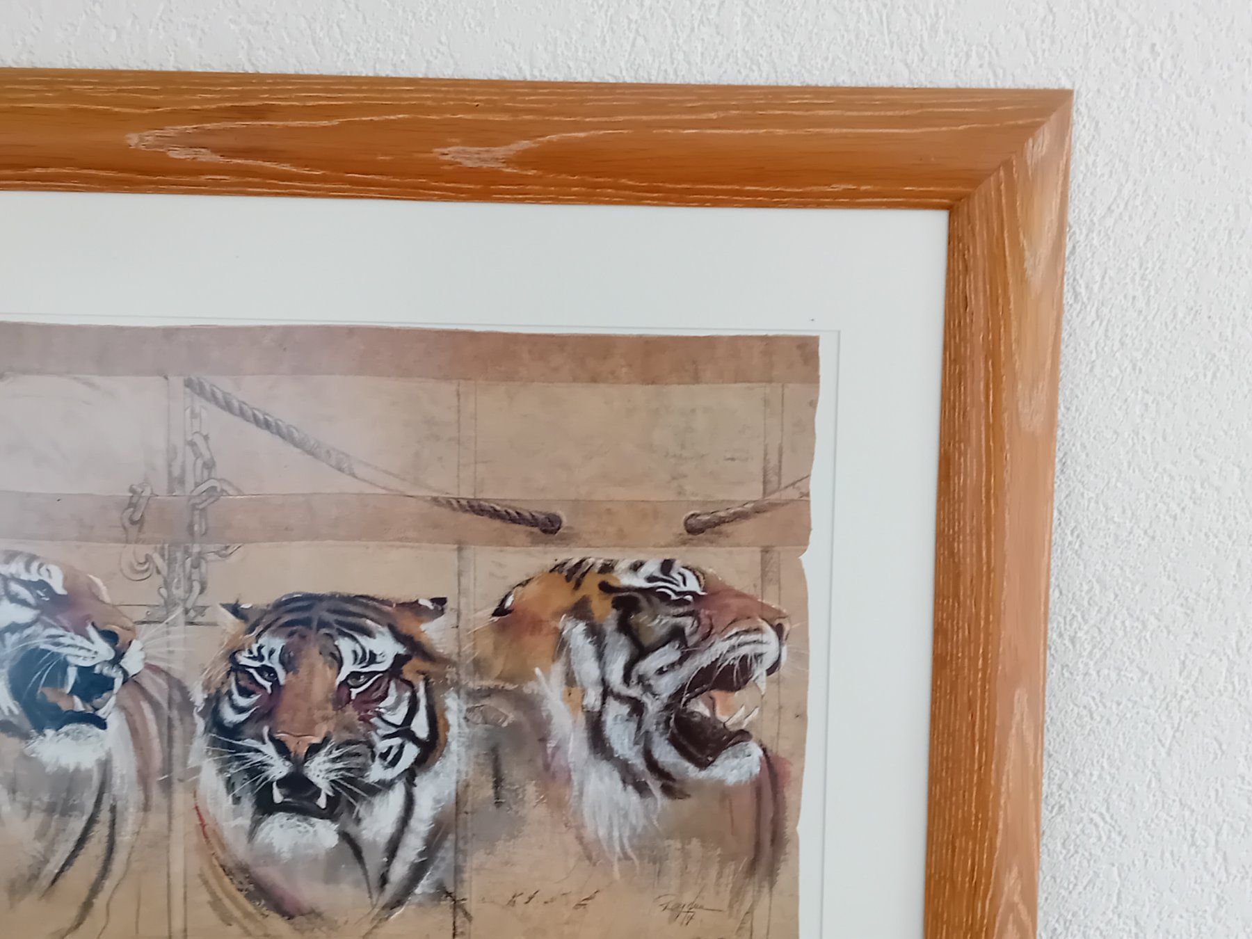 Poster & Bilder: Tiger – Gebraucht aus Stein AG von tom-woody 1