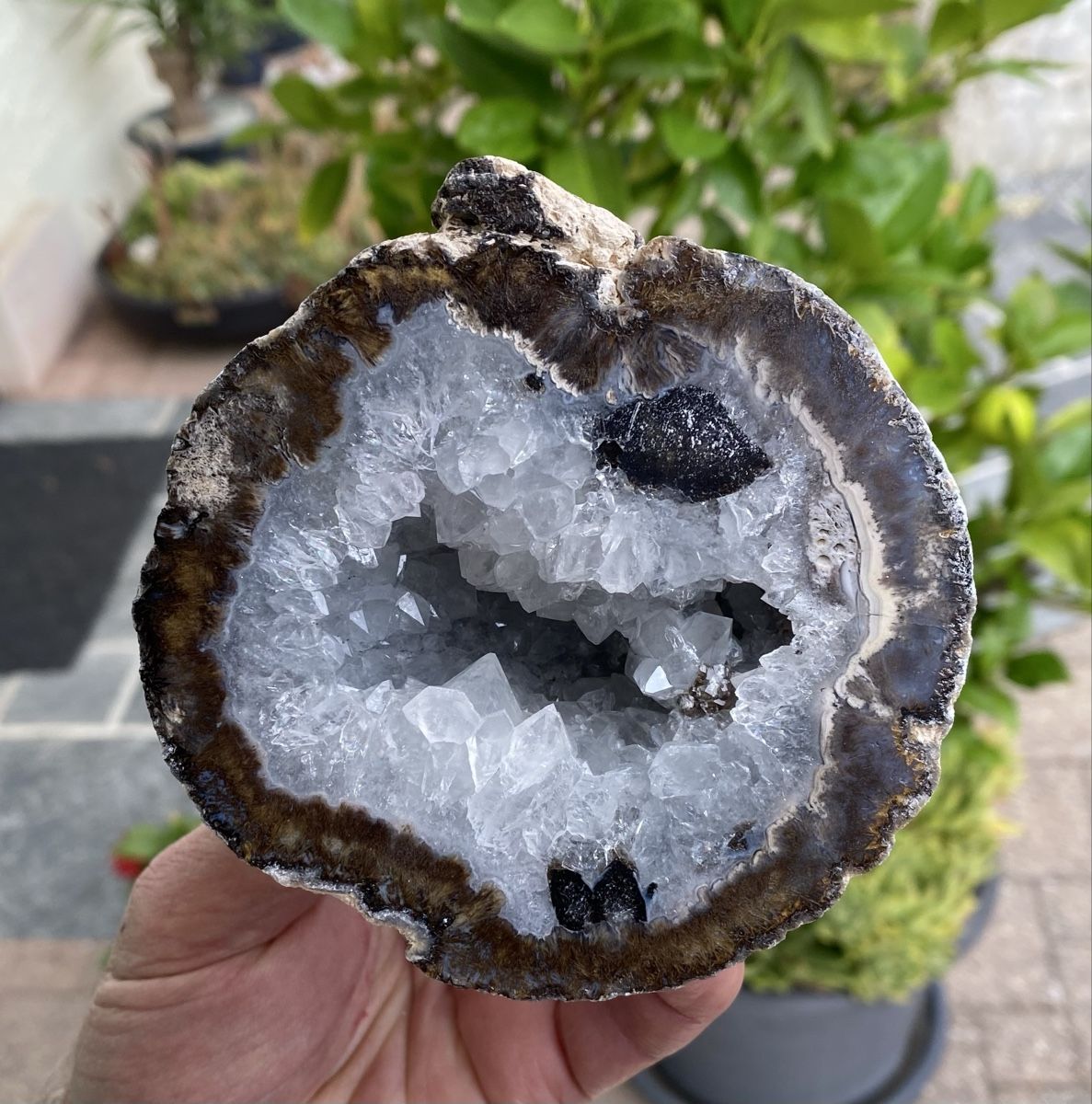 Minerali & Pietre curative: Schöne Achat Geode  – Usato da Selzach venduto da 321compac 1