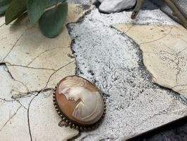 Vintage Brosche/Anhänger mit Muschelgemme, Messingumrandung