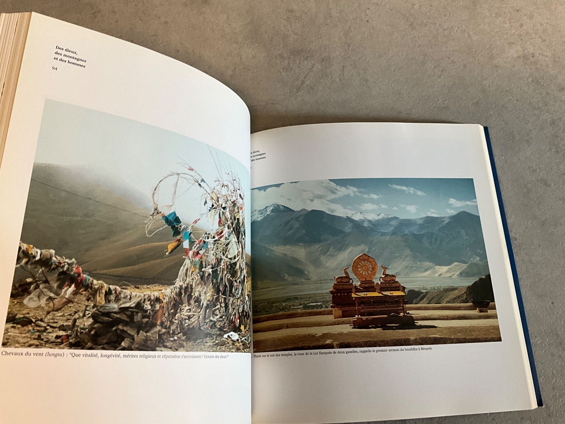 Fumetti: Au Tibet avec Tintin – Usato da Agriswil venduto da Ueli03 3
