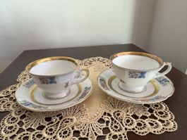 2 Rosenthal Sammeltassen Untertassen Goldrand Blumenmotiv gu