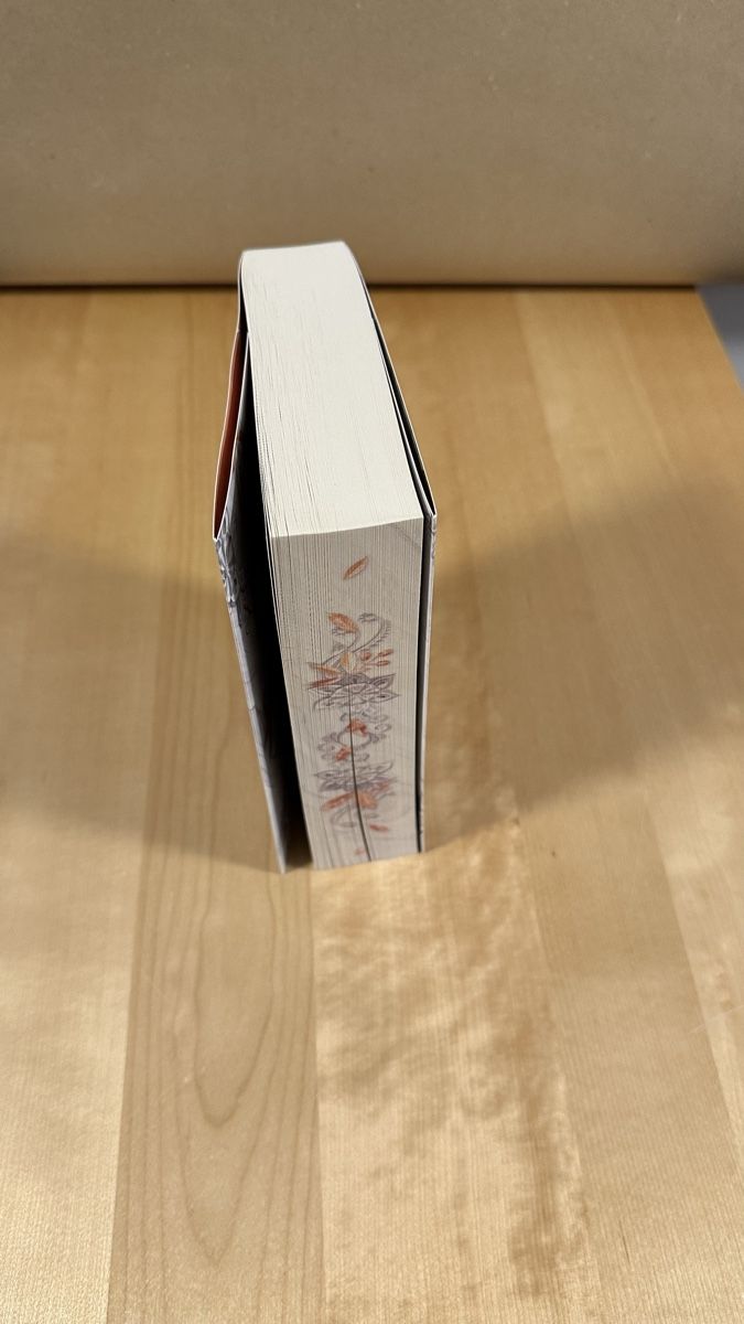 Libri: Gladiator‘s Love - Asuka Lionera – Usato da Schönenwerd venduto da palaceofwords 3