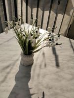 SCHNEE GLÖGCHEN