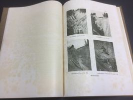 Wildbachverbauungen Rheingebiet Rheinregulierung Bodensee