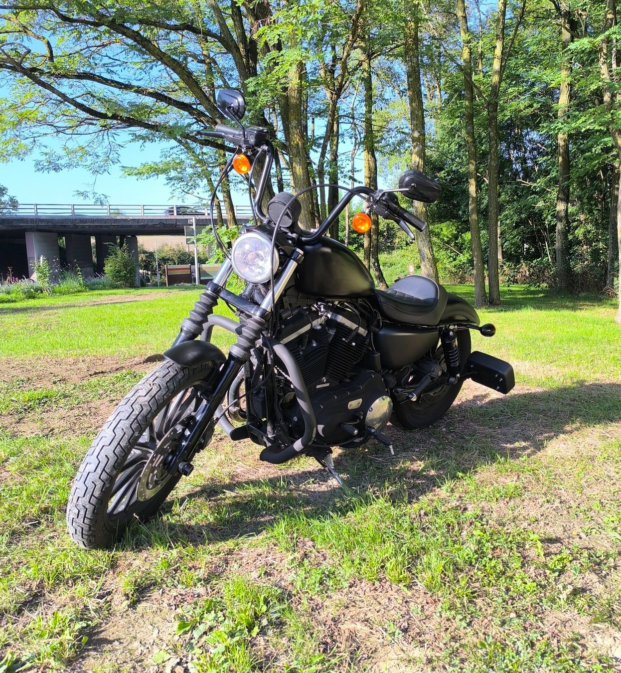 Harley-Davidson Altro: Harley Davidson Iron 883 – Usato da La Croix-de-Rozon venduto da oli_b9tk 1