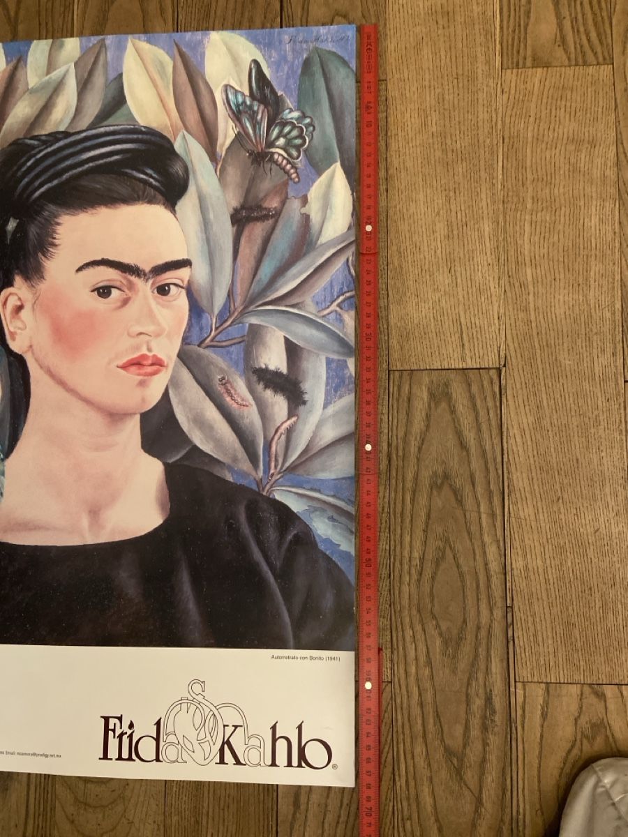 Posters & Illustrations: Plakat Frida Kahlo 45x70cm – D'occasion à Zürich par luc_8sdm 3