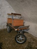 Charmanter Pferde-/Ponywagen – auch als Dekostück