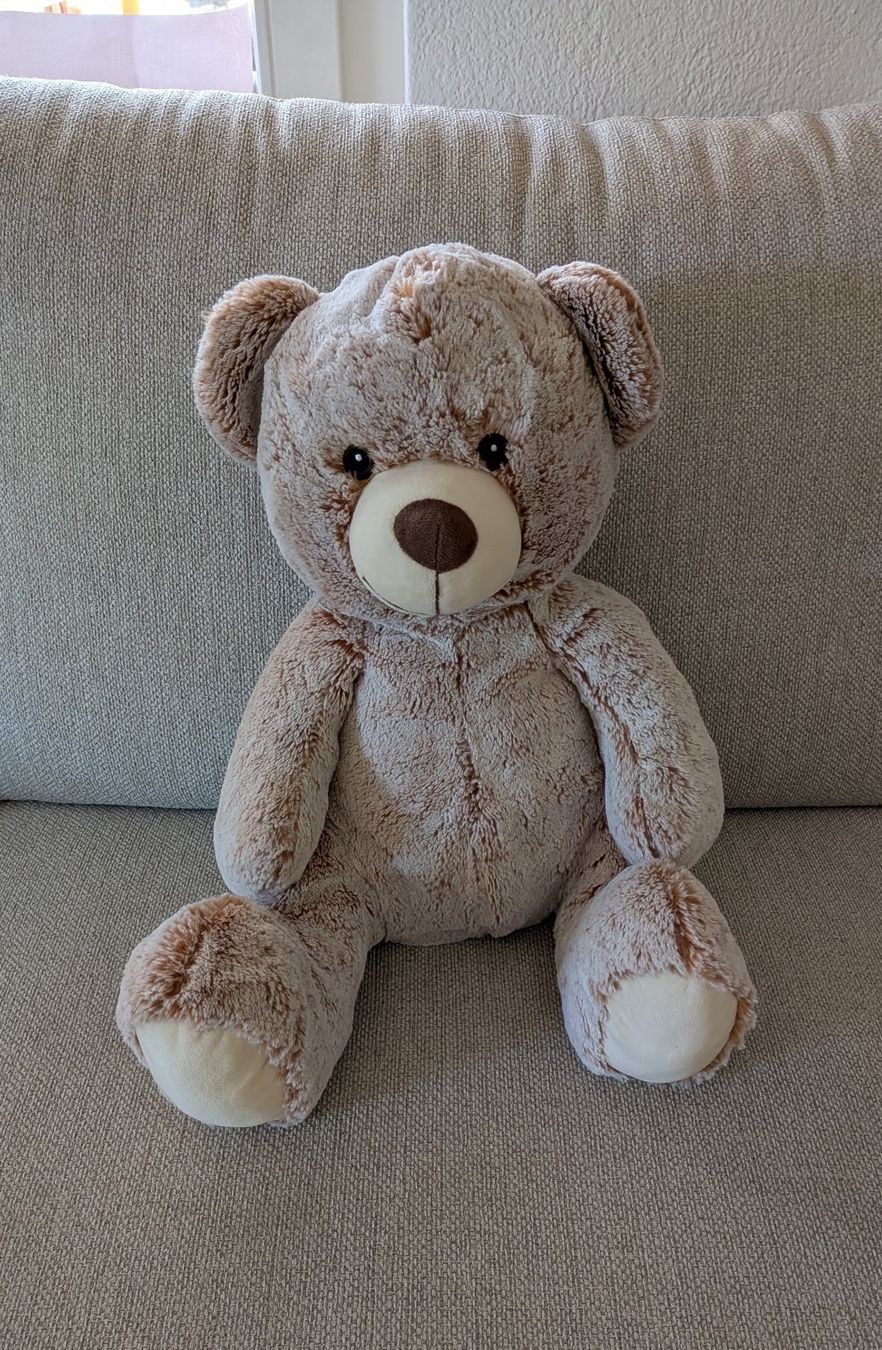 Jouets: Grosser Plüschbär – D'occasion à Unterentfelden par Blueswift
