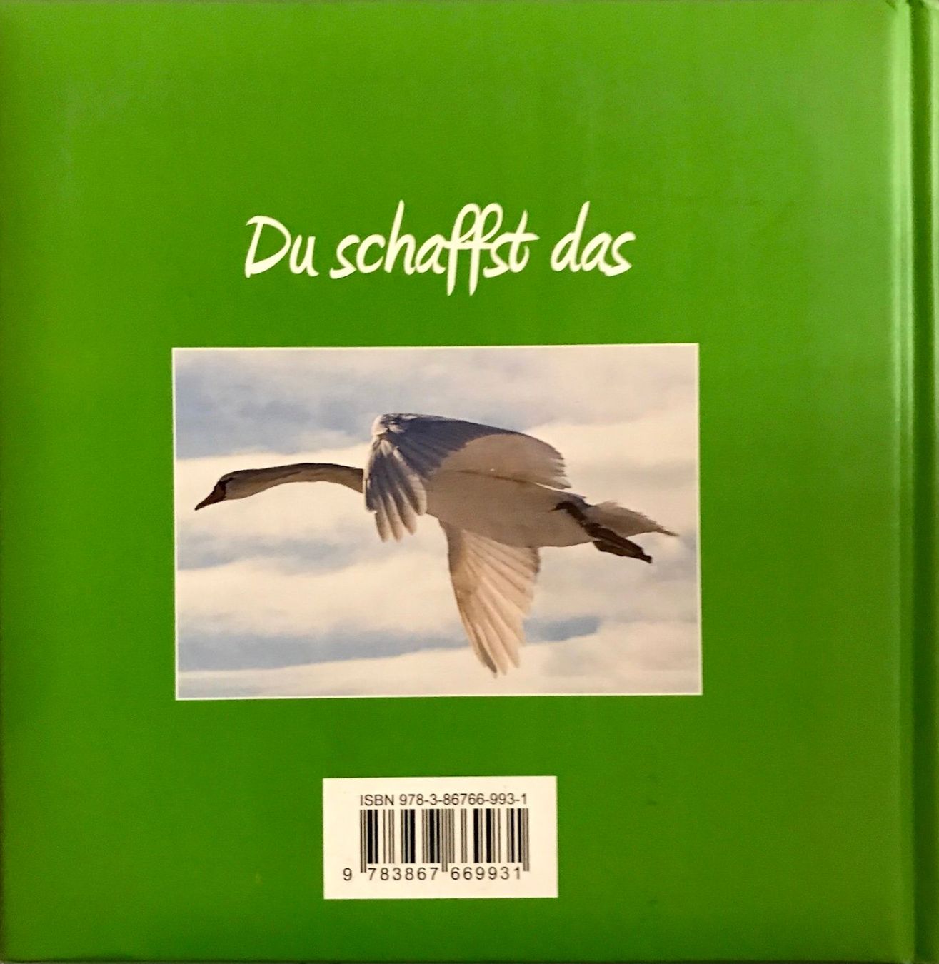 Livres: Du schaffst das – Neuf (Voir description) à Sarnen par Livres 1