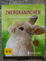 Zwergkaninchen: Glücklich durchs Leben hoppeln