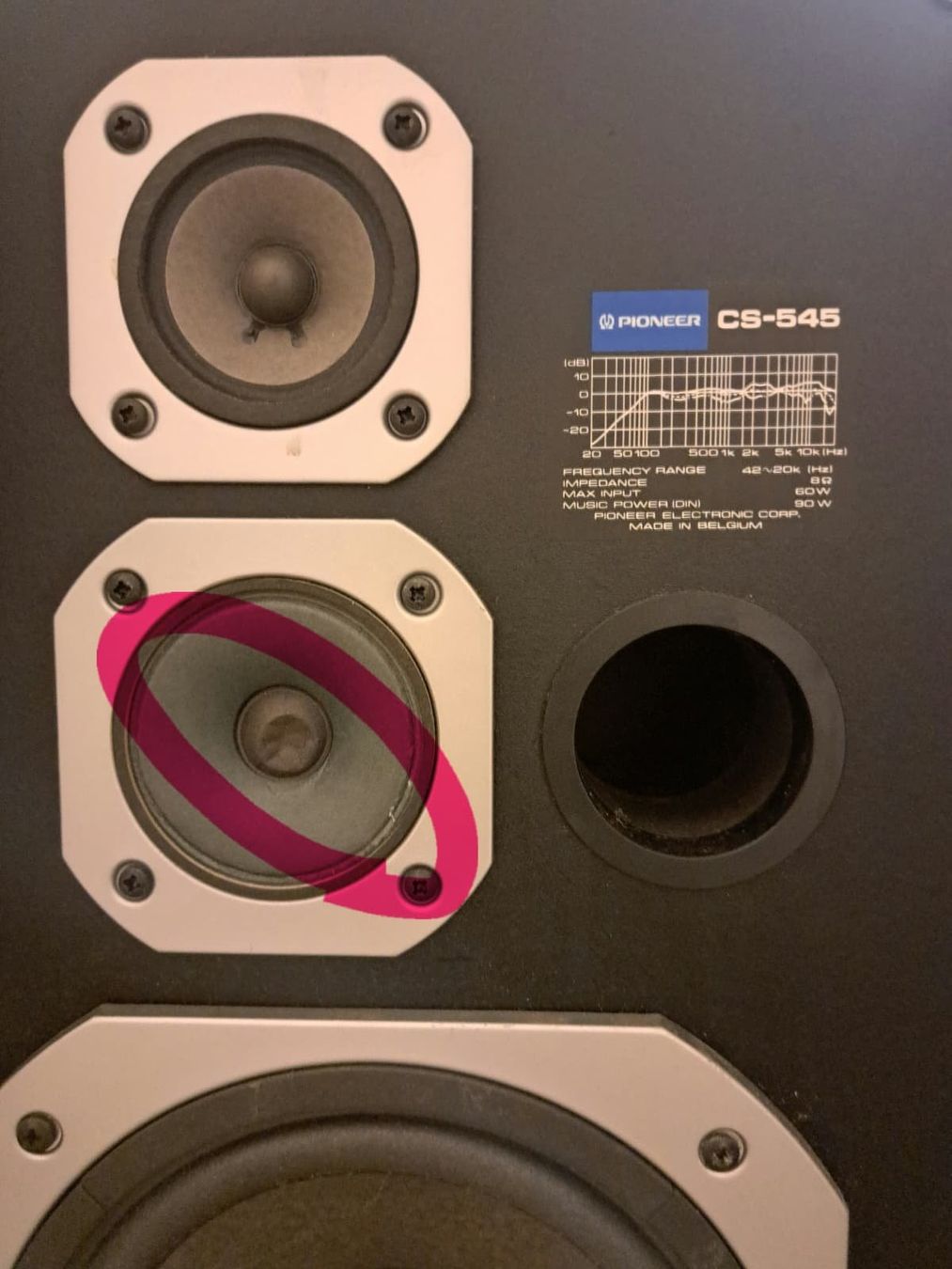 Pioneer Lautsprecher: Pioneer CS-545 – Gebraucht aus Zürich von ben_h2dg 3