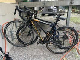 Megamo R10 105 Orange