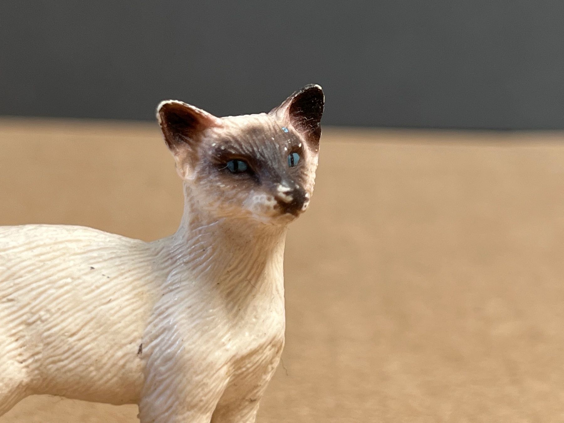Schleich Statuette: Schleich 16653 Siam Katze Siamkatze – Usato da Ennetbaden venduto da mapa05 1