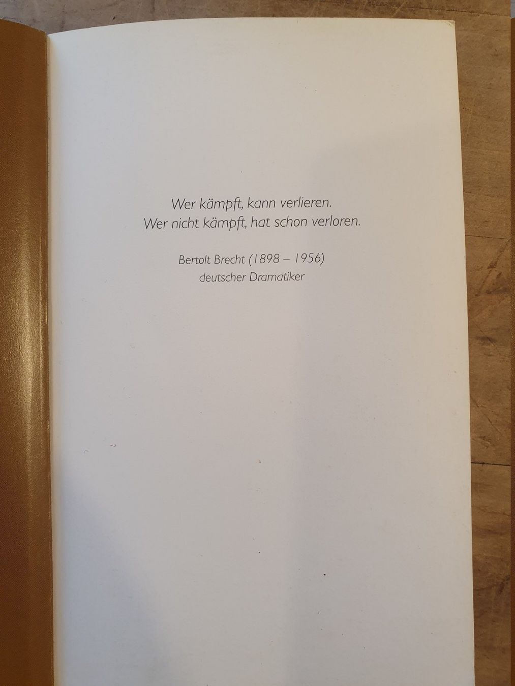 Libri: Burn-Out Thomas Knapp Textwerkstatt – Usato da Zürich venduto da loosebone 1