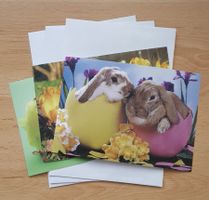 3 Osterkarten mit Kuvert - Ostergrüsse