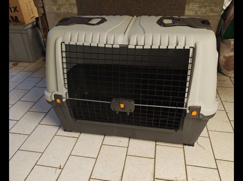 Käfige, Transport & Sicherheit: Grosse Hundetransportbox – Gebraucht aus Trübbach von -_Beat_- 2