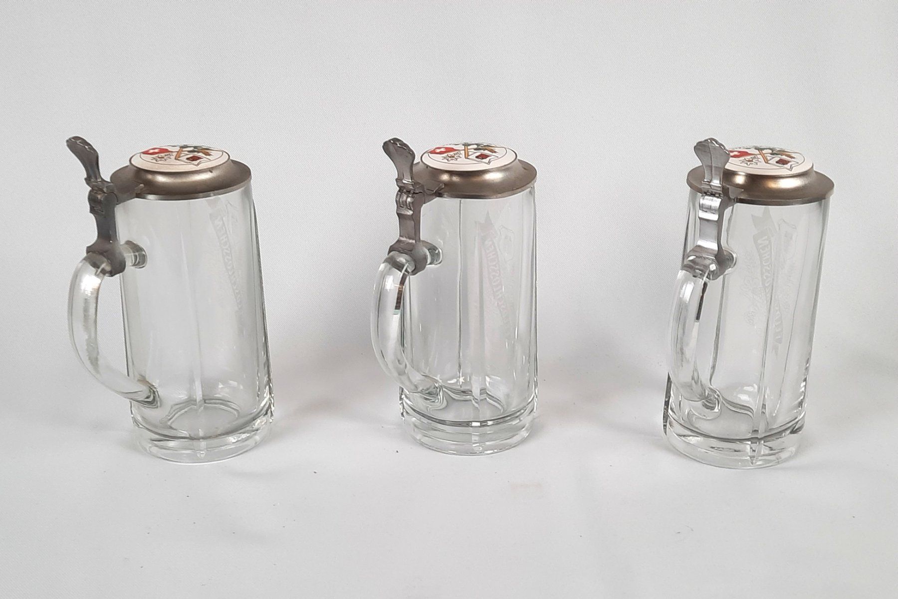 Feldschlösschen Bicchieri: Set Bierkrüge mit Zinndeckel – Usato da Beinwil am See venduto da Restwert_Beinwil 2