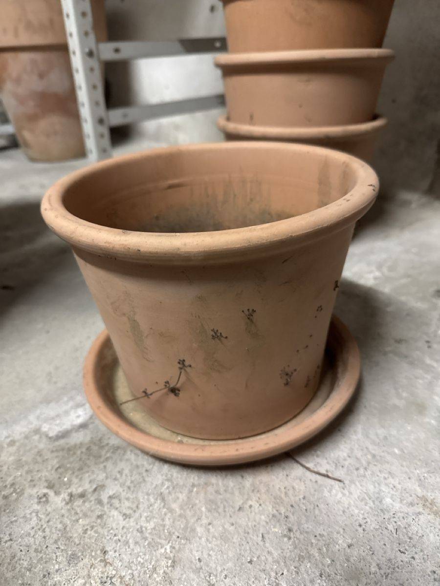 Migros Vasi per fiori: 4 Pflanzentöpfe aus Terrakotta – Usato da Bern venduto da Ania_ 4