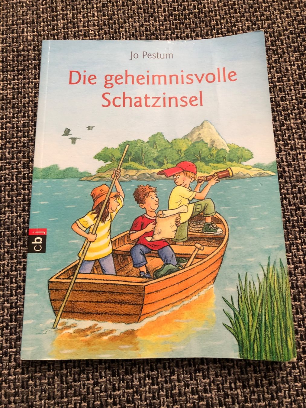 Libri: Die geheimnisvolle Schatzinsel – Usato da Langnau am Albis venduto da snla_scc9