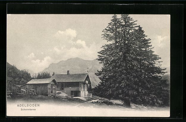 Cartoline postali: AK Adelboden, Restaurant Schermtanne – Usato da Berlin venduto da bartko-reher