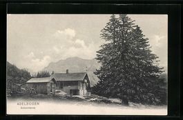 AK Adelboden, Restaurant Schermtanne