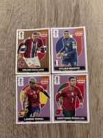 PANINI Extra Sticker