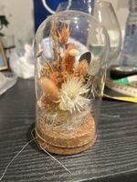 dekor strohblume