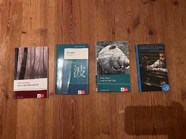 Diverse Klett Schulbücher